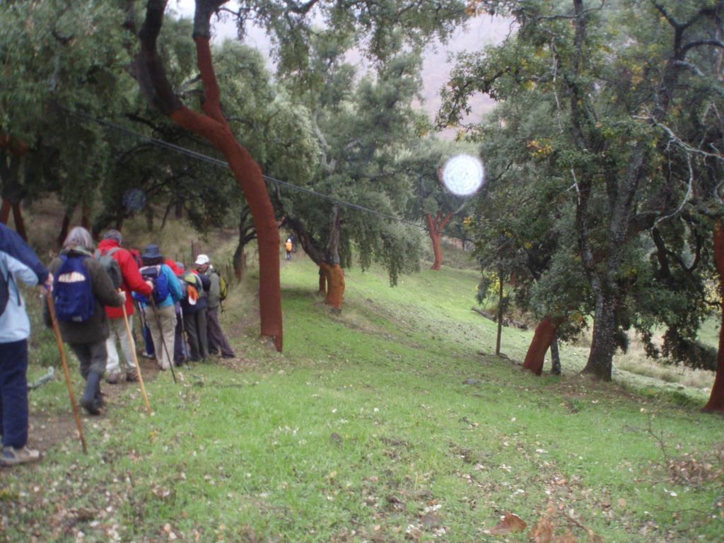 Casa Del Gastronomo Villa Cortes de la Frontera Oda fotoğraf