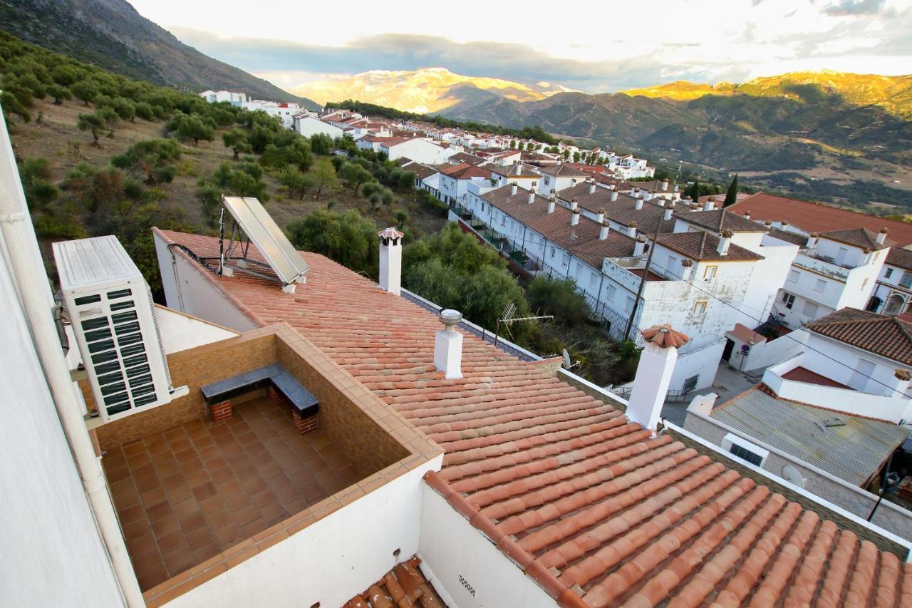 Casa Del Gastronomo Villa Cortes de la Frontera Dış mekan fotoğraf